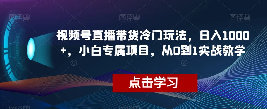 视频号直播带货冷门玩法，日入1000+，小白专属项目，从0到1实战教学【揭秘】-最全项目网