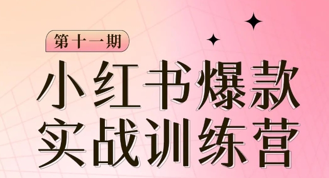 小红书博主爆款训练营第11期，手把手教你从0-1做小红书，从定位到起号到变现-最全项目网