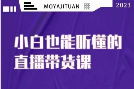 大威本威·能听懂的直播带货课，小白也能听懂，20节完整-最全项目网