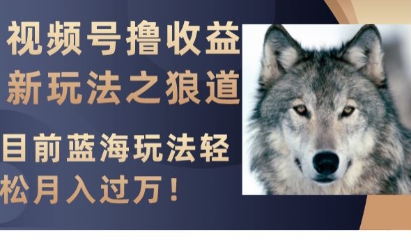 视频号撸收益新玩法之狼道，目前蓝海玩法，轻松月入过万【揭秘】-最全项目网