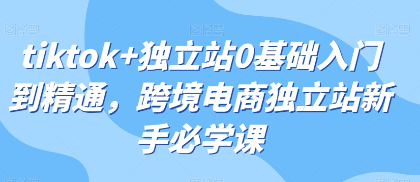 tiktok+独立站0基础入门到精通，跨境电商独立站新手必学课-最全项目网