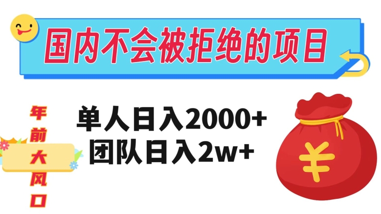 在国内不怕被拒绝的项目，单人日入2000，团队日入20000+【揭秘】-最全项目网