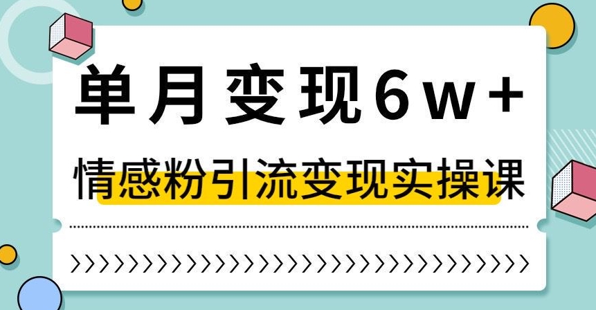 单月变现6W+，抖音情感粉引流变现实操课，小白可做，轻松上手，独家赛道【揭秘】-最全项目网