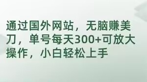 通过国外网站，无脑赚美刀，单号每天300+可放大操作，小白轻松上手【揭秘】-最全项目网