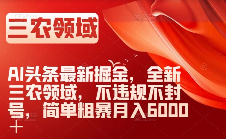 AI头条最新掘金，全新三农领域，不违规不封号，简单粗暴月入6000＋【揭秘】-最全项目网