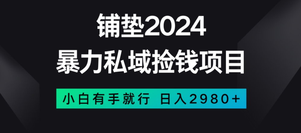 暴力私域捡钱项目，小白无脑操作，日入2980【揭秘】-最全项目网