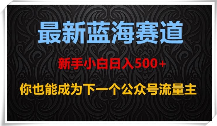 最新蓝海赛道，新手小白日入500+，你也能成为下一个公众号流量主【揭秘】-最全项目网
