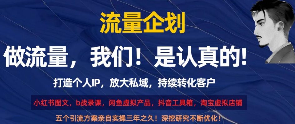 流量企划，打造个人IP，放大私域，持续转化客户【揭秘】-最全项目网