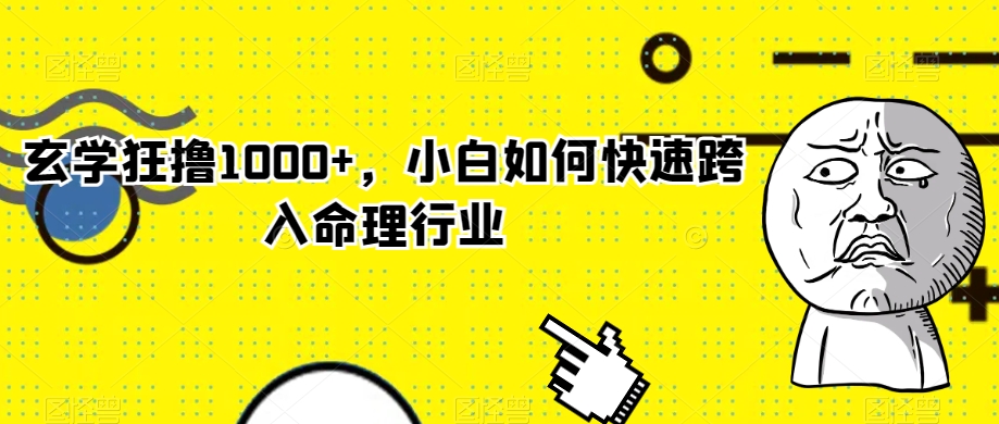 玄学狂撸1000+，小白如何快速跨入命理行业【揭秘】-最全项目网