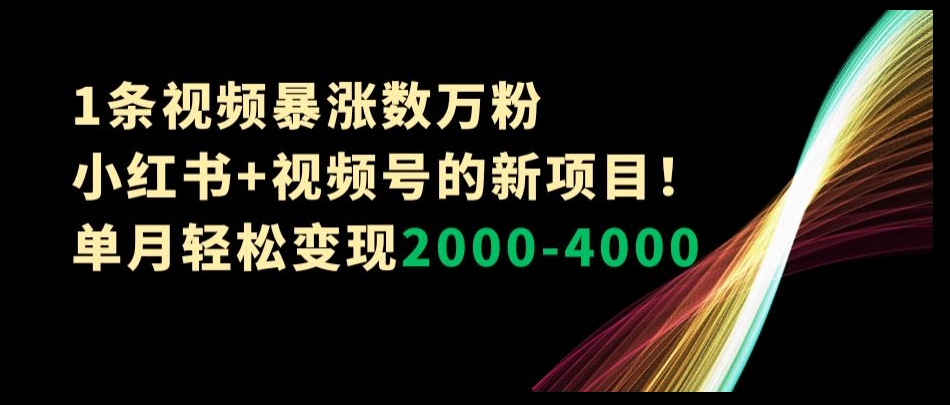 1条视频暴涨数万粉–小红书+视频号的新项目！单月轻松变现2000-4000【揭秘】-最全项目网