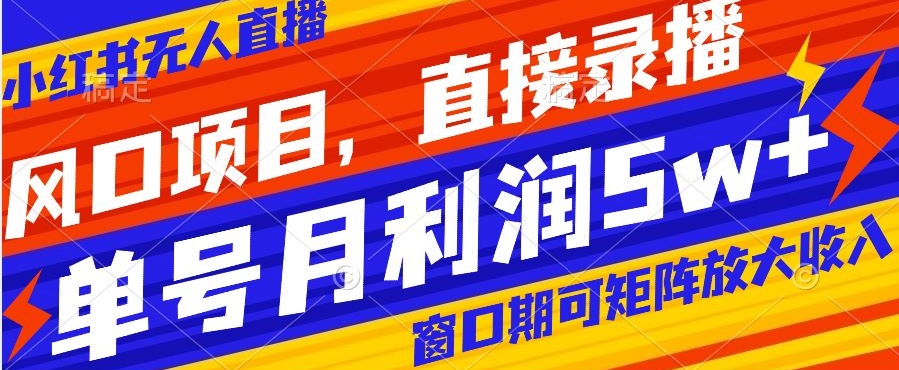 风口项目，小红书无人直播带货，直接录播，可矩阵，月入5w+【揭秘】-最全项目网