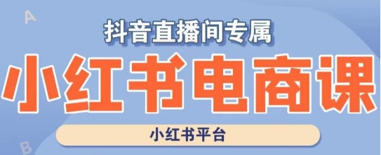 小红书电商高级运营课程，实操教学+案例分析-最全项目网