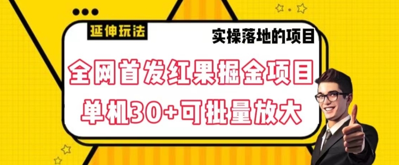 全网首发红果免费短剧掘金项目，单机30+可批量放大【揭秘】-最全项目网