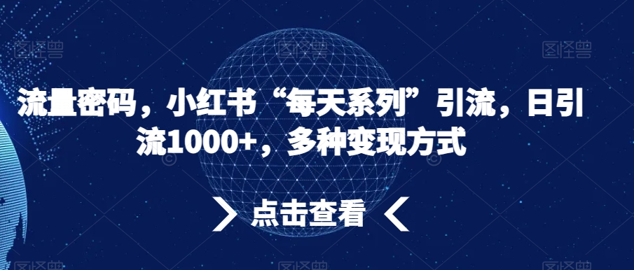 流量密码，小红书“每天系列”引流，日引流1000+，多种变现方式【揭秘】-最全项目网