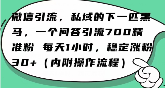 怎么搞精准创业粉？微信新赛道，每天一小时，利用Ai一个问答日引100精准粉-最全项目网