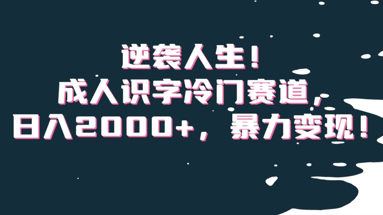 逆袭人生！成人识字冷门赛道，日入2000+，暴力变现！【揭秘】-最全项目网