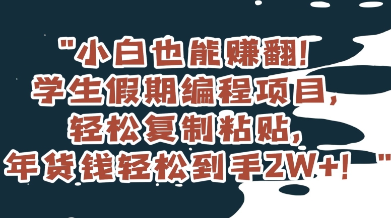 小白也能赚翻！学生假期编程项目，轻松复制粘贴，年货钱轻松到手2W+【揭秘】-最全项目网