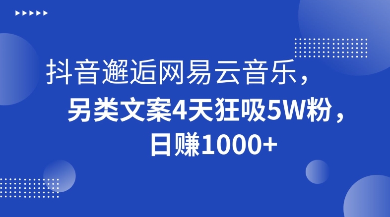 抖音邂逅网易云音乐，另类文案4天狂吸5W粉，日赚1000+【揭秘】-最全项目网