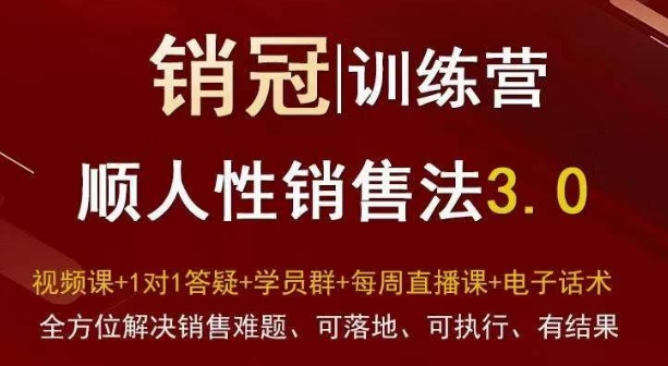爆款！销冠训练营3.0之顺人性销售法，全方位解决销售难题、可落地、可执行、有结果-最全项目网
