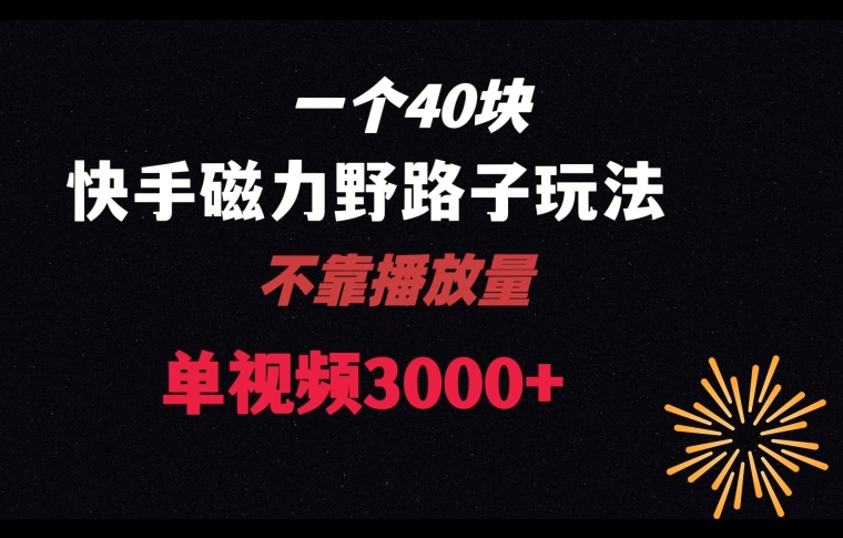 一个40块，快手联合美团磁力新玩法，无视机制野路子玩法，单视频收益4位数【揭秘】-最全项目网