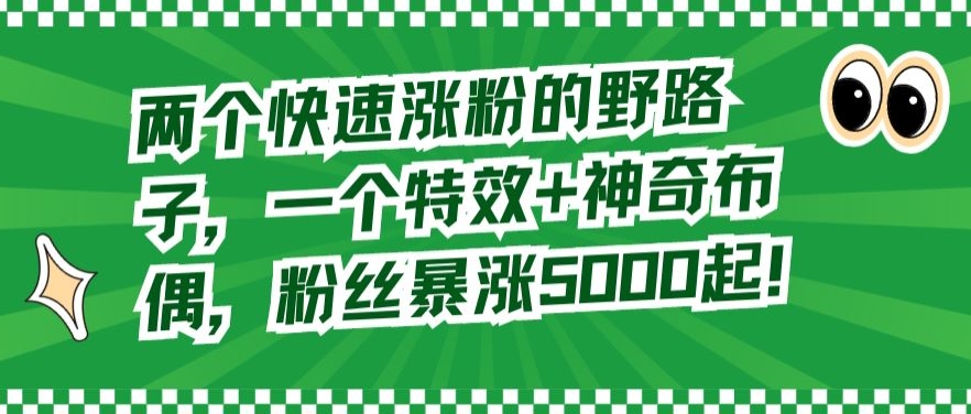 两个快速涨粉的野路子，一个特效+神奇布偶，粉丝暴涨5000起【揭秘】-最全项目网