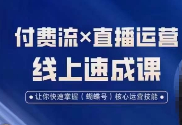 视频号付费流实操课程，付费流✖️直播运营速成课，让你快速掌握视频号核心运营技能-最全项目网