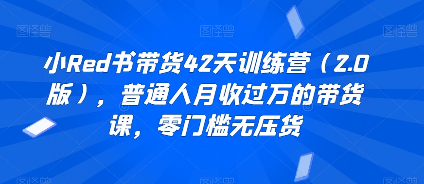 小Red书带货42天训练营（2.0版），普通人月收过万的带货课，零门槛无压货-最全项目网