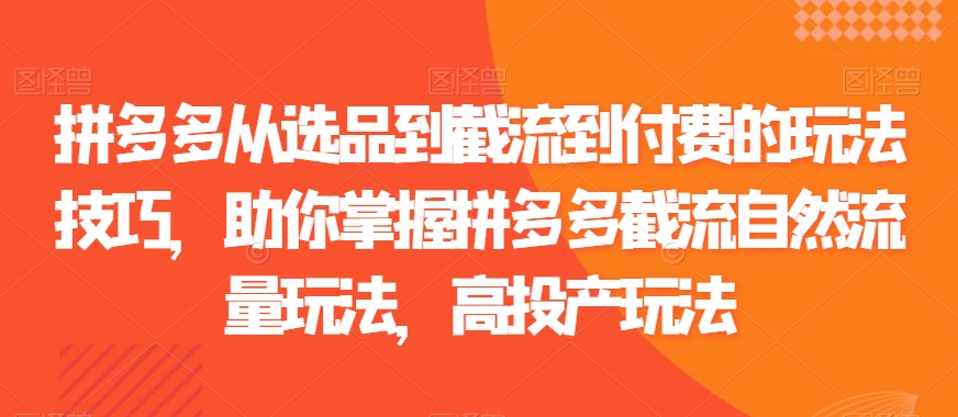 拼多多从选品到截流到付费的玩法技巧，助你掌握拼多多截流自然流量玩法，高投产玩法-最全项目网