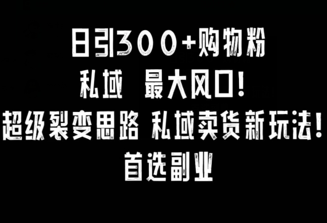 日引300+购物粉，超级裂变思路，私域卖货新玩法，小红书首选副业【揭秘】-最全项目网