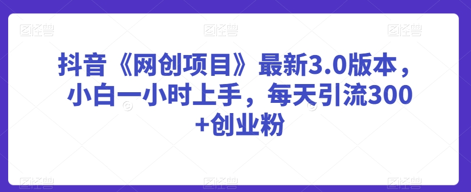 抖音《网创项目》最新3.0版本，小白一小时上手，每天引流300+创业粉【揭秘】-最全项目网