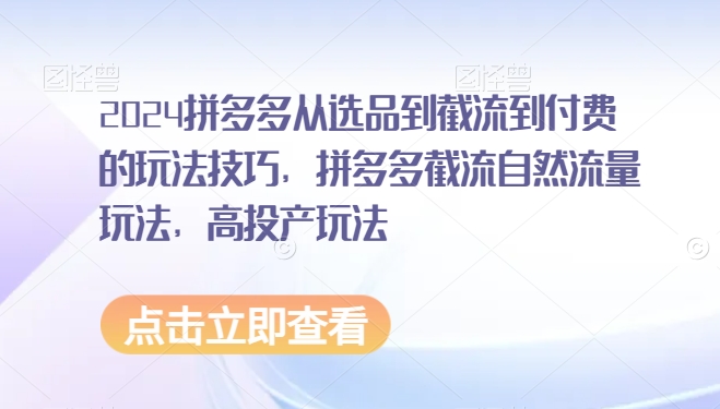 2024拼多多从选品到截流到付费的玩法技巧，拼多多截流自然流量玩法，高投产玩法-最全项目网