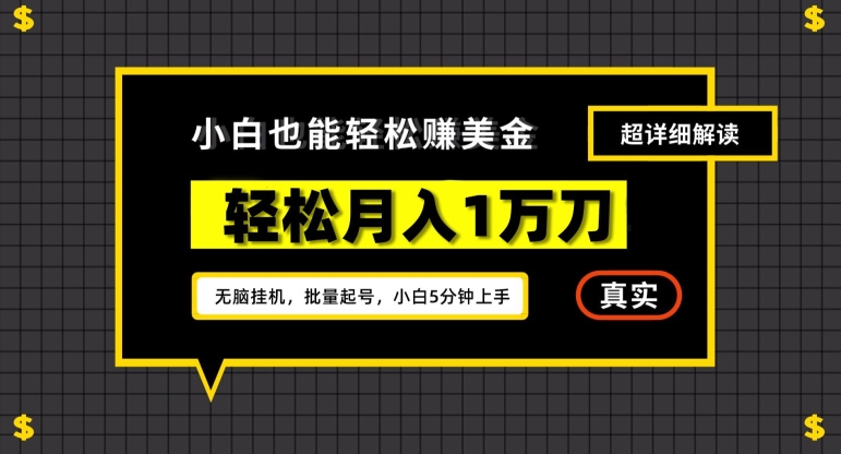 谷歌看广告撸美金2.0，无脑挂机，多号操作，月入1万刀【揭秘】-最全项目网