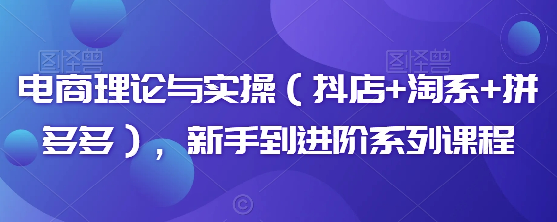 电商理论与实操（抖店+淘系+拼多多），新手到进阶系列课程-最全项目网