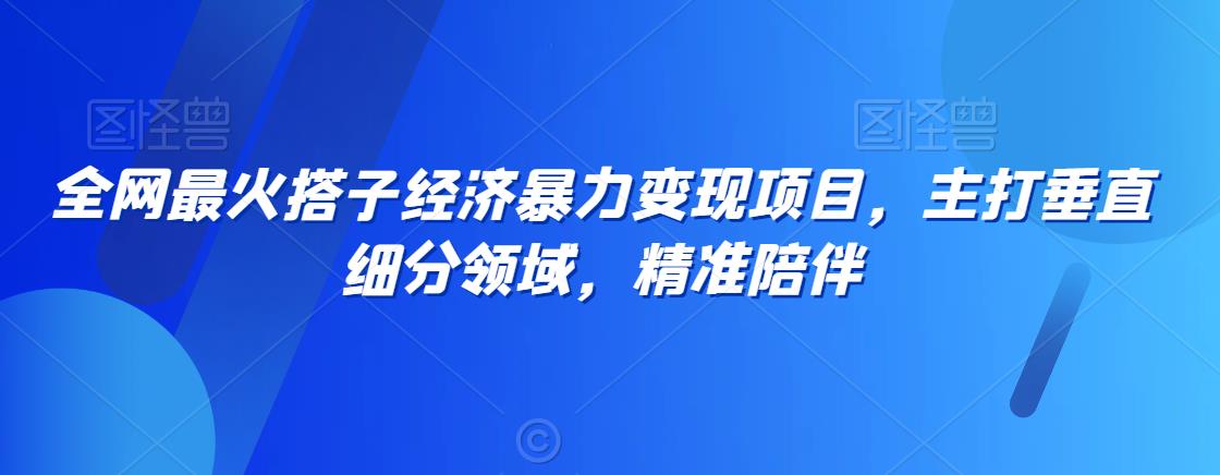 全网最火搭子经济暴力变现项目，主打垂直细分领域，精准陪伴【揭秘】-最全项目网