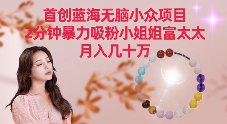 首创蓝海无脑小众项目，2分钟暴力吸粉小姐姐富太太，月入几十万【揭秘】-最全项目网