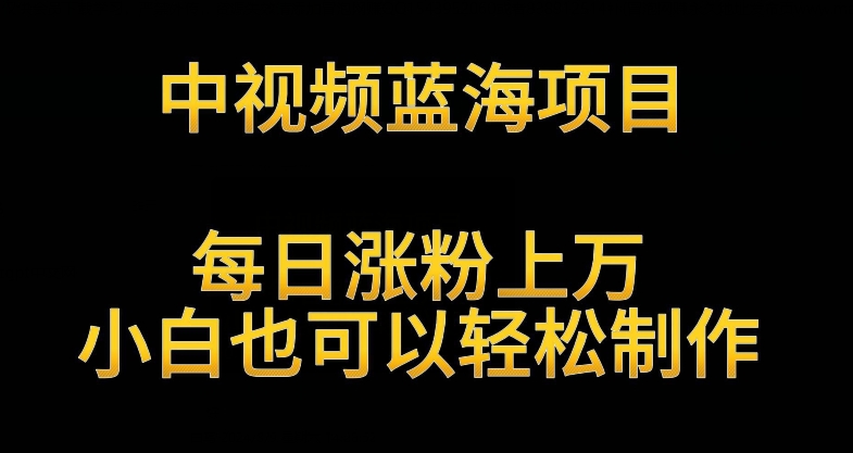 中视频蓝海项目，解读英雄人物生平，每日涨粉上万，小白也可以轻松制作，月入过万不是梦【揭秘】-最全项目网