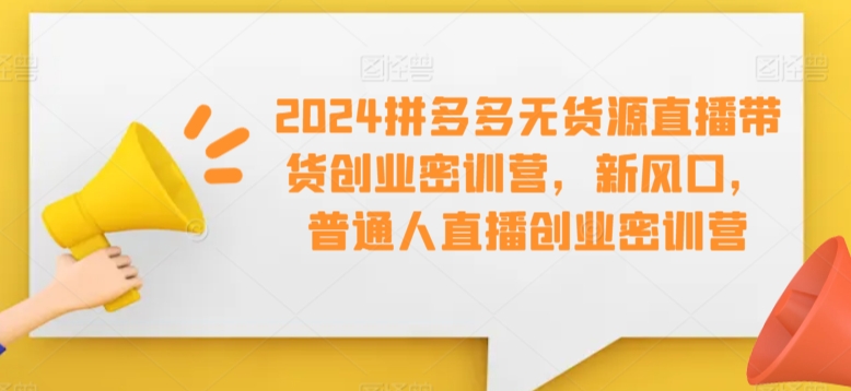 2024拼多多无货源直播带货创业密训营，新风口，普通人直播创业密训营-最全项目网