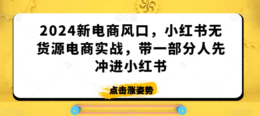 2024新电商风口，小红书无货源电商实战，带一部分人先冲进小红书-最全项目网