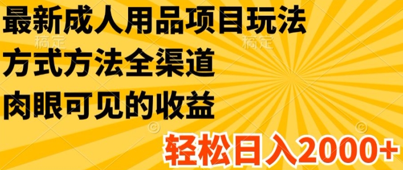 最新成人用品项目玩法，方式方法全渠道，轻松日入2K+【揭秘】-最全项目网