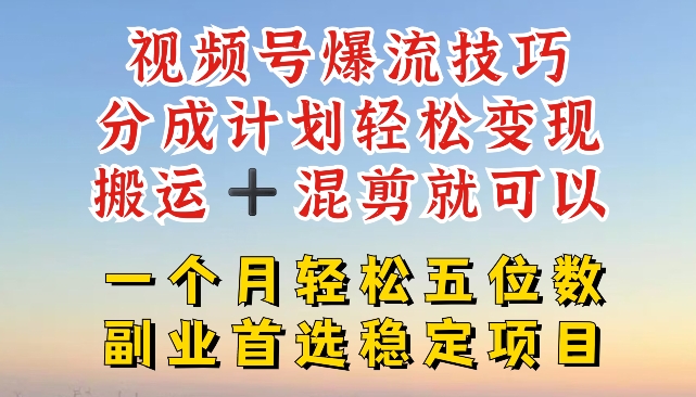 视频号爆流技巧，分成计划轻松变现，搬运 +混剪就可以，一个月轻松五位数稳定项目【揭秘】-最全项目网