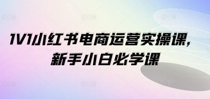 1V1小红书电商运营实操课，新手小白必学课-最全项目网