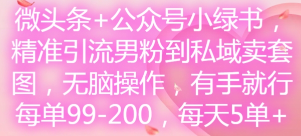 微头条+公众号小绿书，精准引流男粉到私域卖套图，无脑操作，有手就行，每单99-200，每天5单-最全项目网