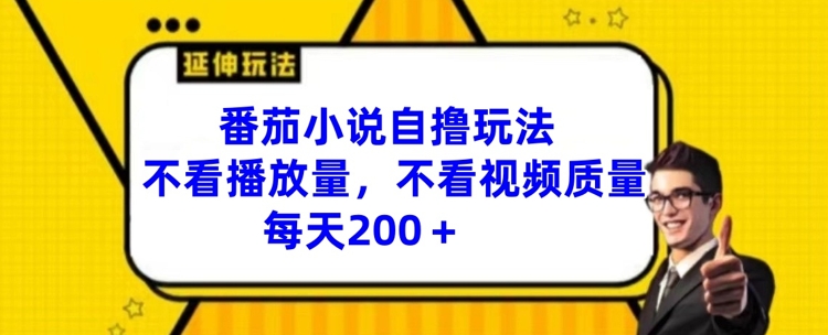 番茄小说自撸玩法，不看播放量，不看视频质量，每天200+【揭秘】-最全项目网