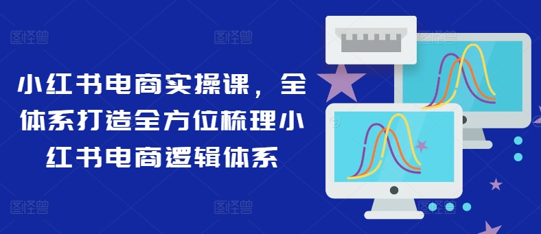 小红书电商实操课，全体系打造全方位梳理小红书电商逻辑体系-最全项目网