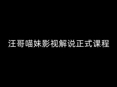 汪哥影视解说正式课程：剪映/PR教学/视解说剪辑5大黄金法则/全流程剪辑7把利器等等-最全项目网