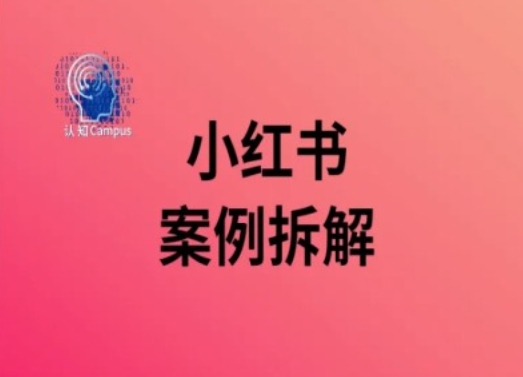 小红书案例拆解，深度解读小红书40万粉-最全项目网