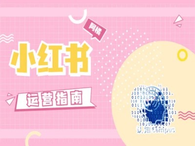 小红书运营指南，没有套路，全是经验-最全项目网