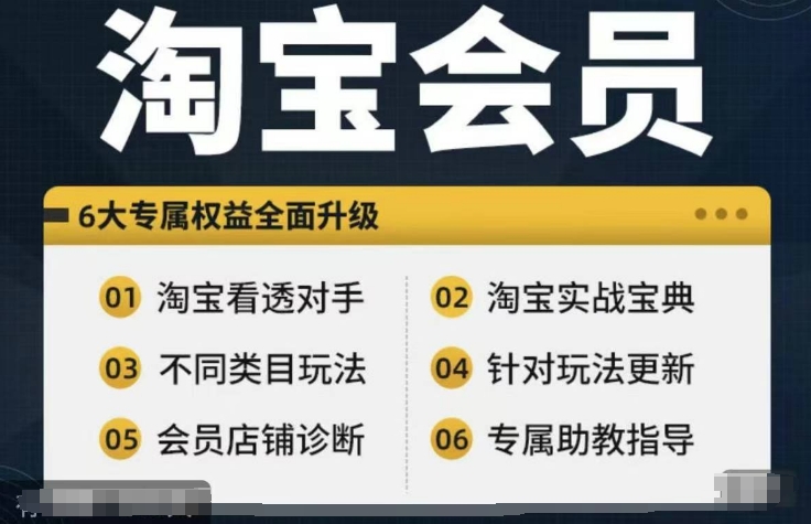 淘宝会员【淘宝所有课程，全面分析对手】，初级到高手全系实战宝典-最全项目网