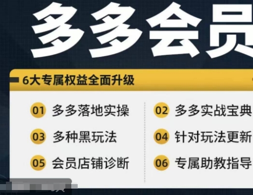 拼多多会员，拼多多实战宝典+实战落地实操，从新手到高阶内容全面覆盖-最全项目网