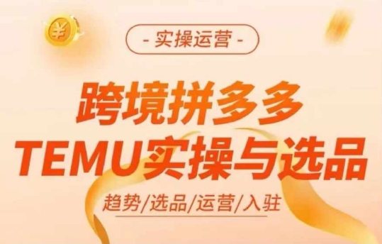 跨境拼多多TEMU实操与选品，多多temu跨境选品运营实操-最全项目网